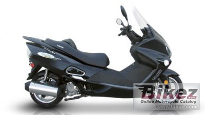 2008 Tank Sports Urban Touring 250 Delux photo